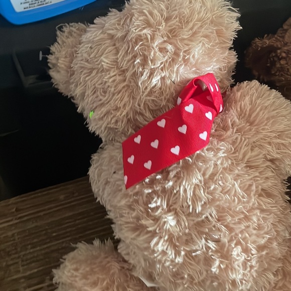 Cute bear - Picture 2 of 2